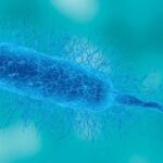 Florida health officials warn after first Vibrio death of 2026