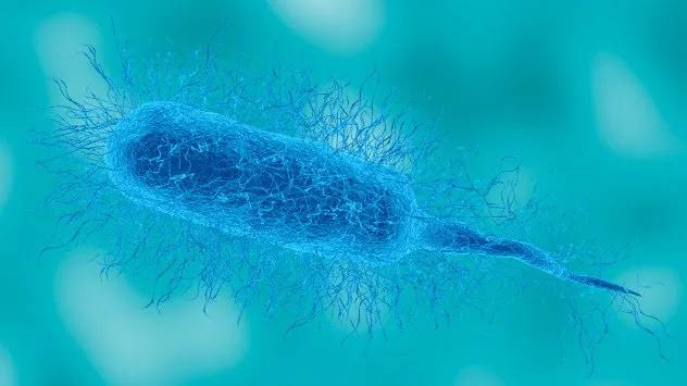 Florida health officials warn after first Vibrio death of 2026