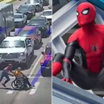 A man dressed as Spider-Man helping a wheelchair user cross a busy street
