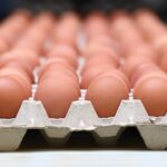 Cartons of eggs recalled after being linked to a salmonella outbreak in the United States