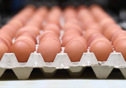 Cartons of eggs recalled after being linked to a salmonella outbreak in the United States