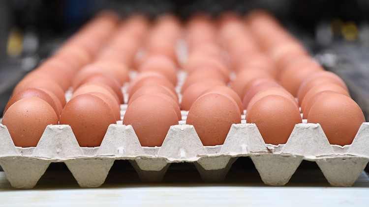 Cartons of eggs recalled after being linked to a salmonella outbreak in the United States