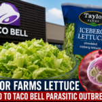 Fresh lettuce supplied by Taylor Farms associated with Taco Bell parasitic outbreak investigation